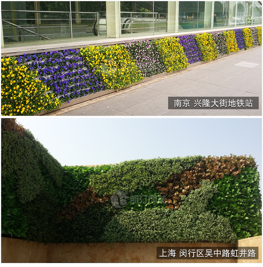 墙体绿化专用花盆案例效果图