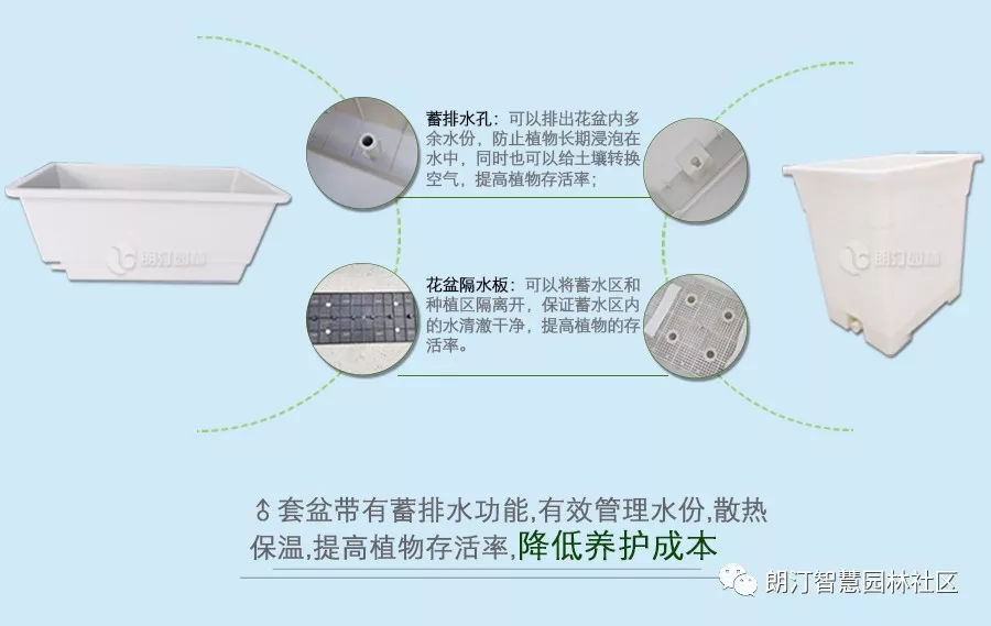 套盆带蓄水功能