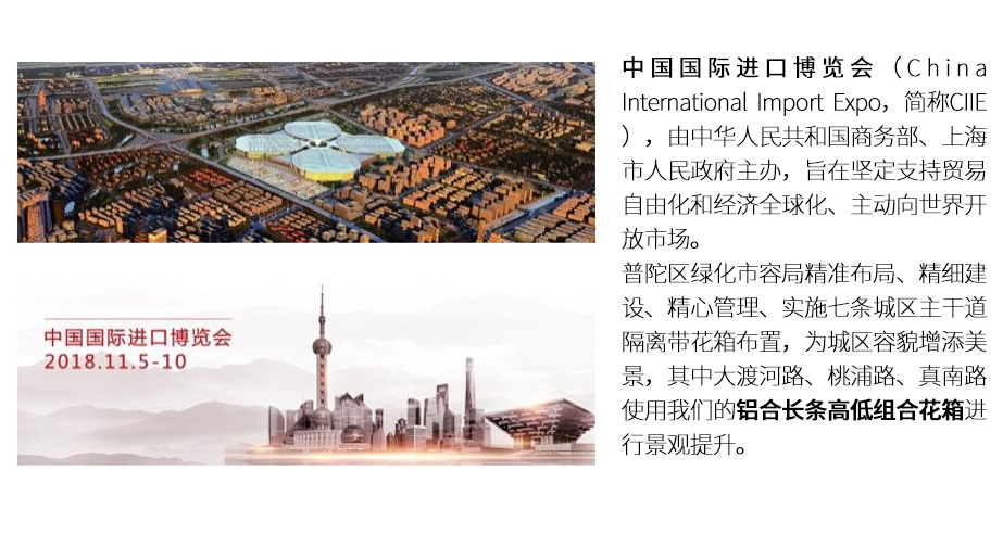 上海中国国际进口博览会