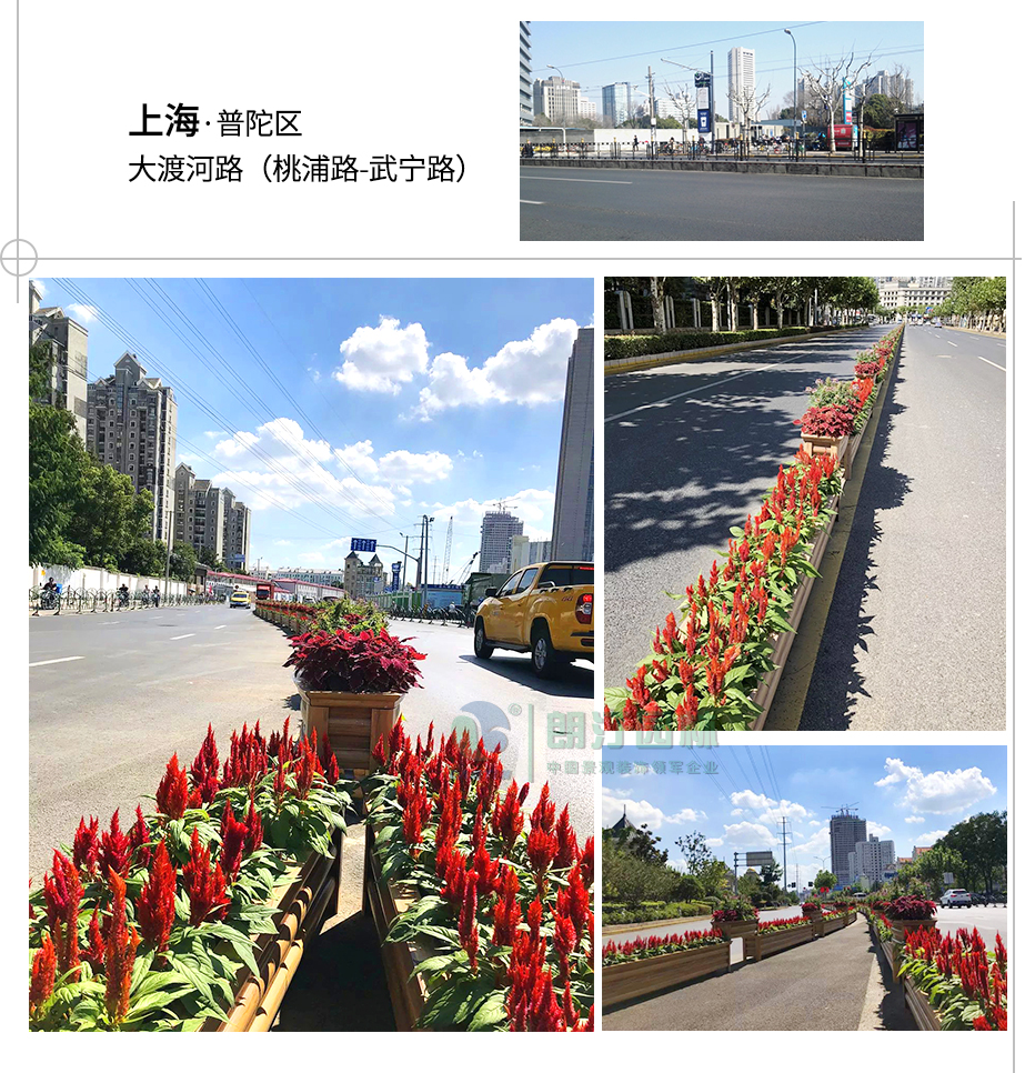 上海普陀区大渡河路道路隔离