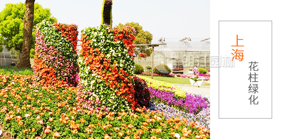 上海花柱绿化