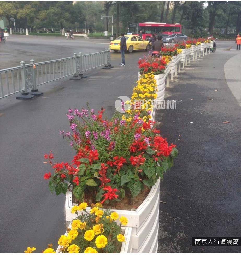 南京侧分带隔离绿化花箱案例
