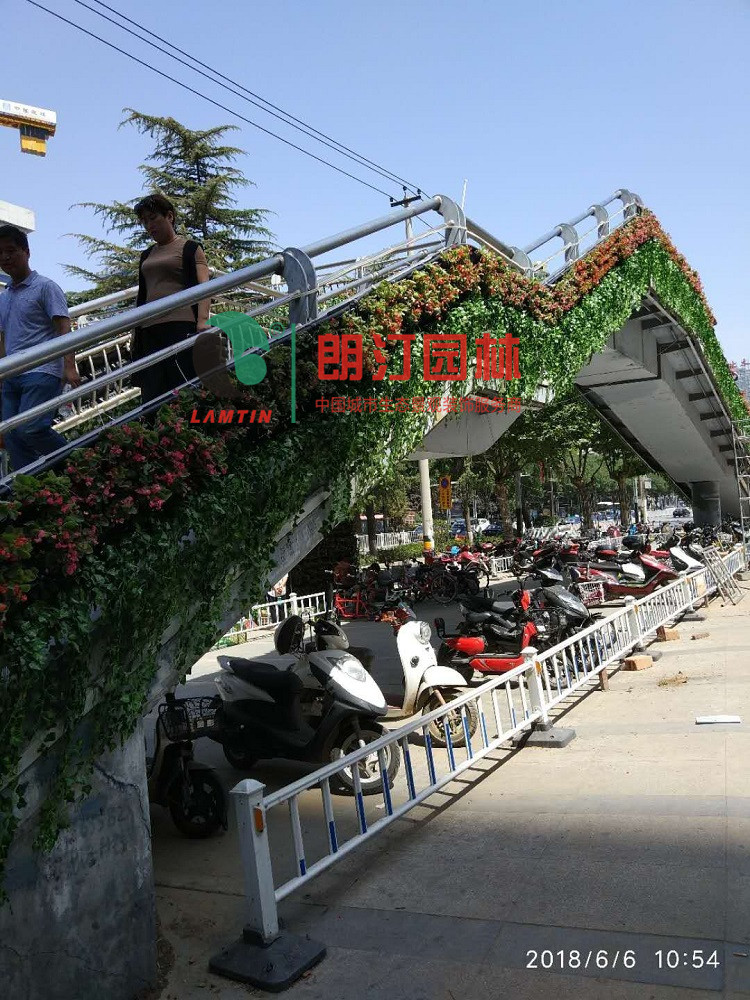 陕西渭南人行天桥护栏景观
