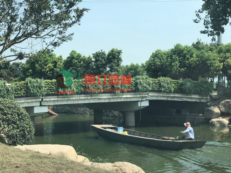 桥梁立体绿化