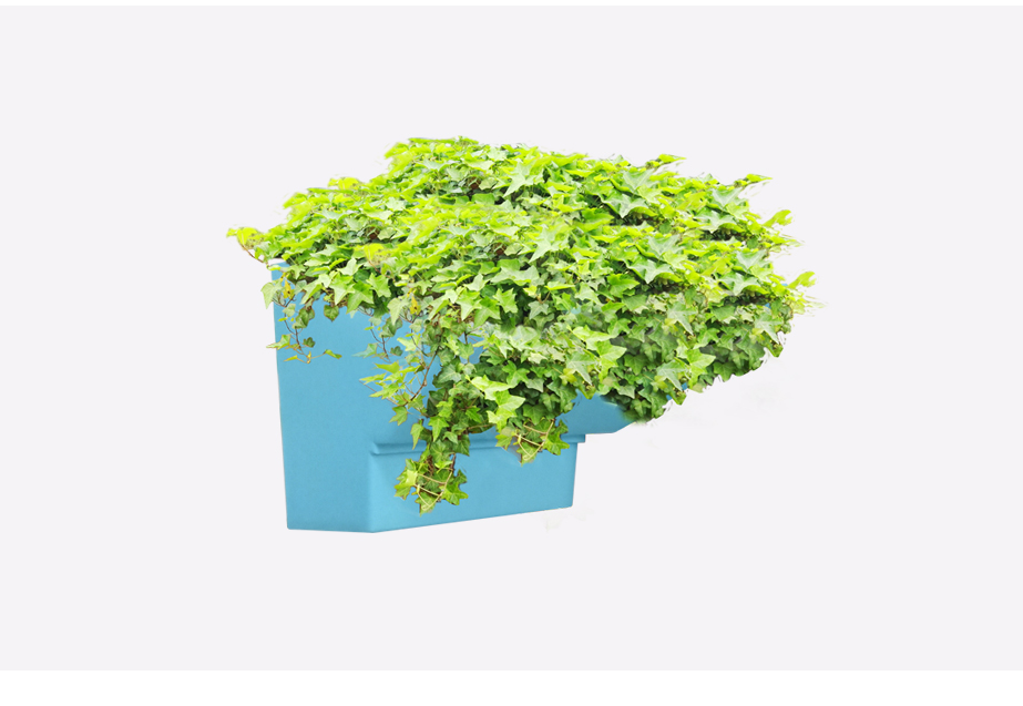 朗汀园林植物墙花盆