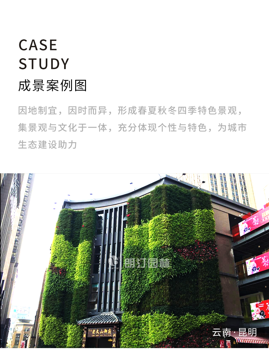 墙体绿化专用拐角花盆案例