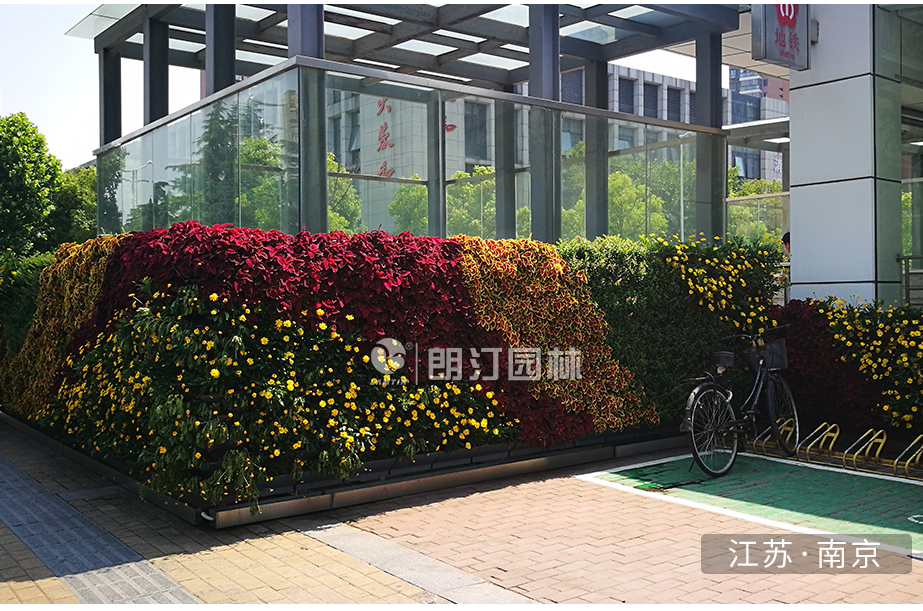 植物墙拐角花盆绿化