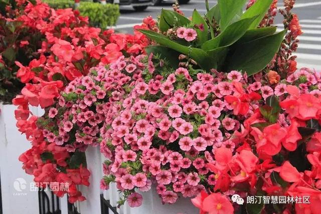 方形雕花艺术花箱