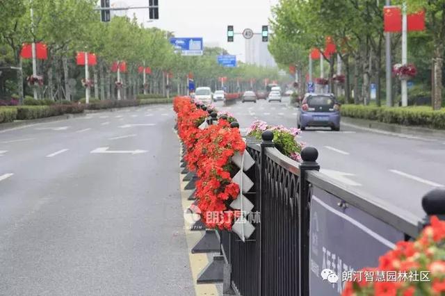 护栏绿化景观