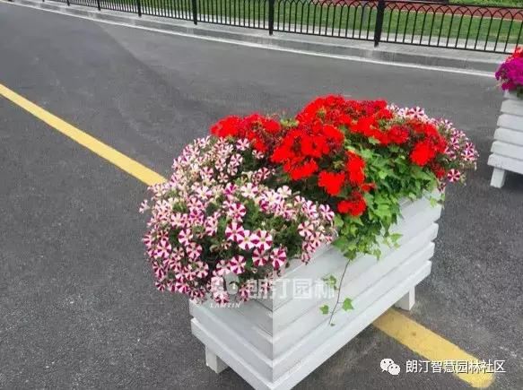 厉害了，上海长寿路上了头条！