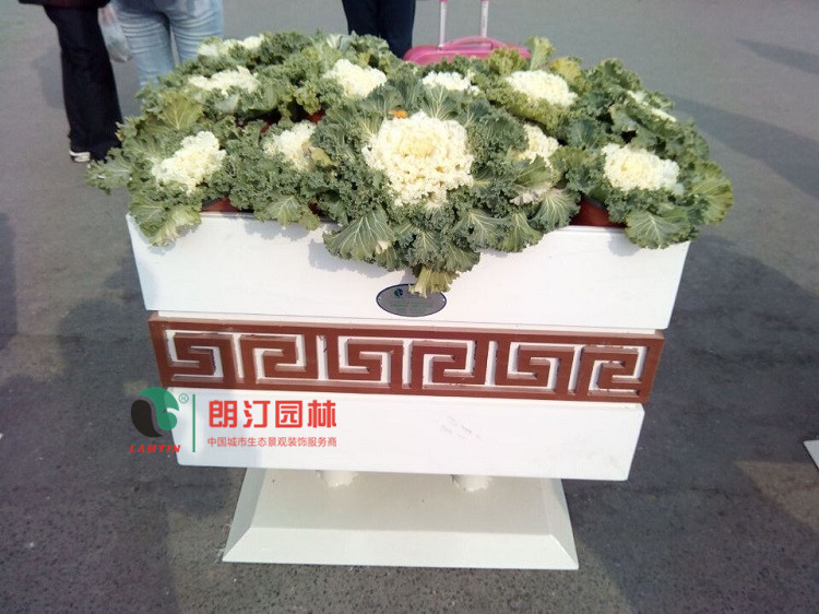 中国风-腰带雕花花箱使用案例