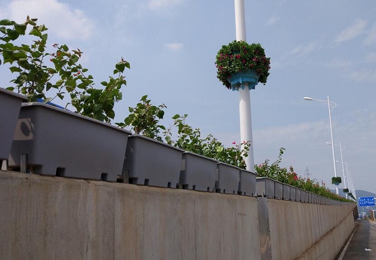 朗汀园林高架桥顶式花盆绿化案例