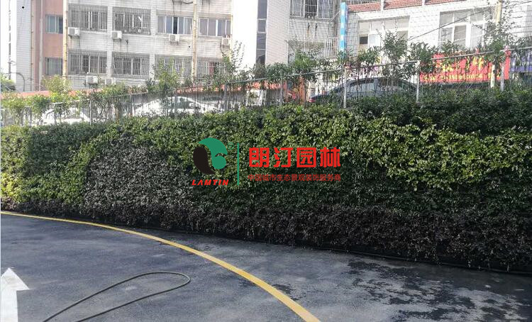 3安徽铜陵立体绿化植物墙案例