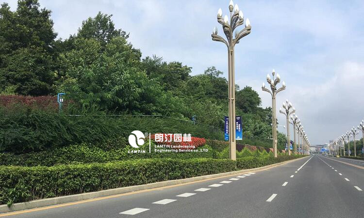 贵州贵阳垂直绿化植物墙工程案例