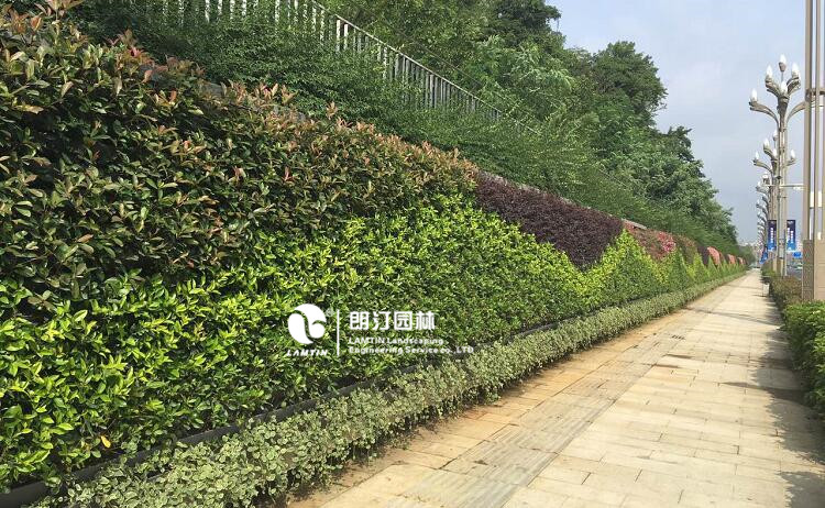 3贵州贵阳垂直绿化植物墙工程案例