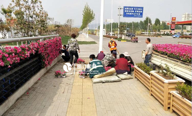 河南平顶山植物墙绿化景观工程案例