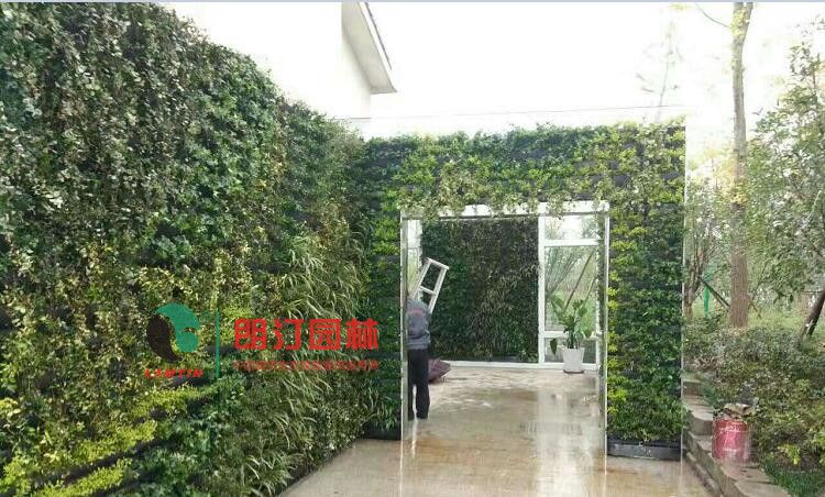 墙体绿化花盆使用案例
