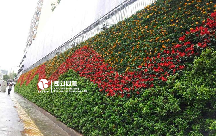 朗汀园林垂直绿化工程案例