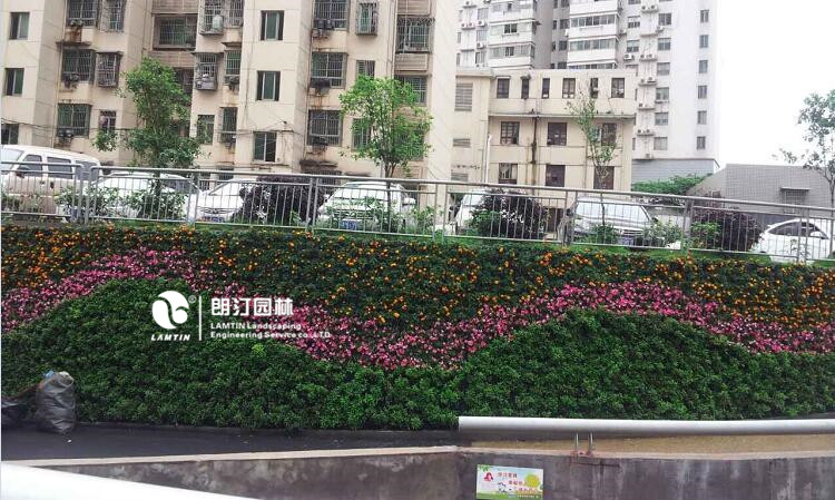 垂直绿化一站式服务商