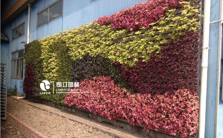 朗汀园林垂直绿化工程案例