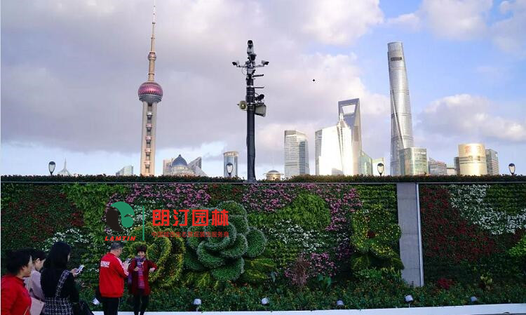 上海外滩花墙绿化景观工程