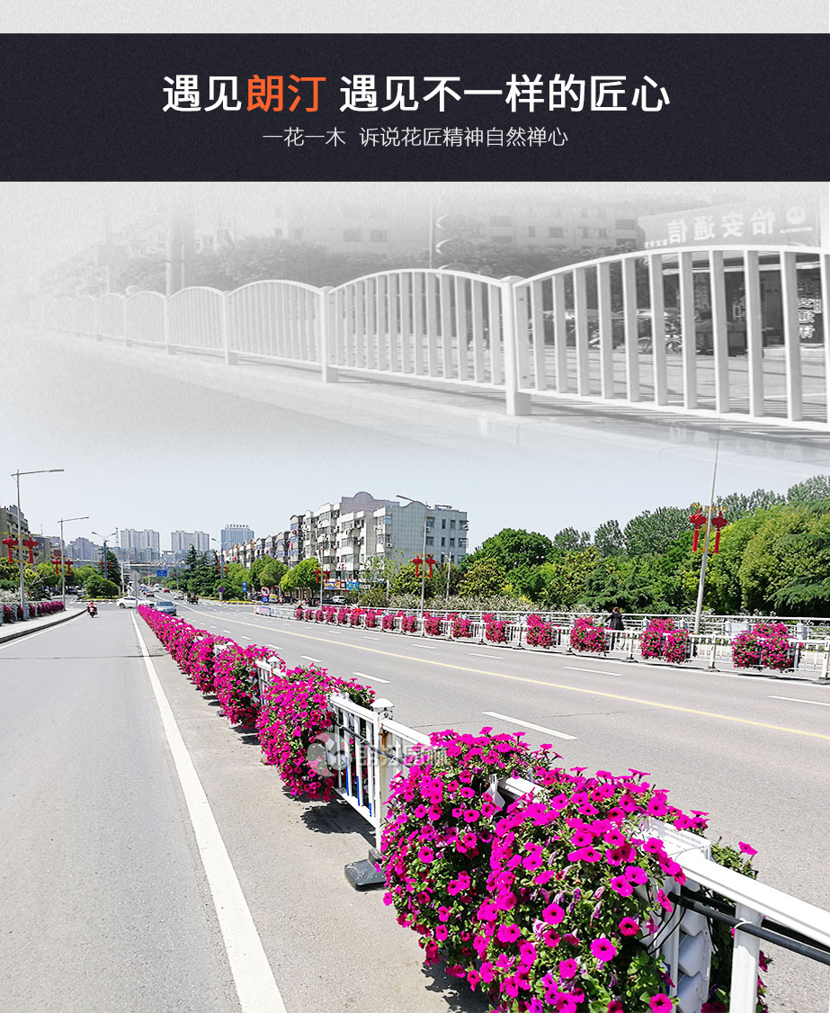 江苏阜宁大桥物理隔离栏绿化