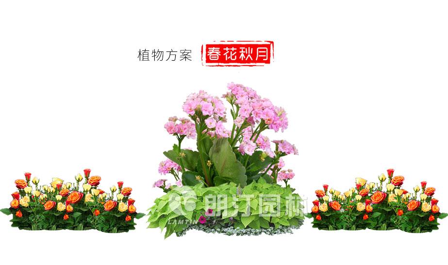 朗汀园林2019新款花箱