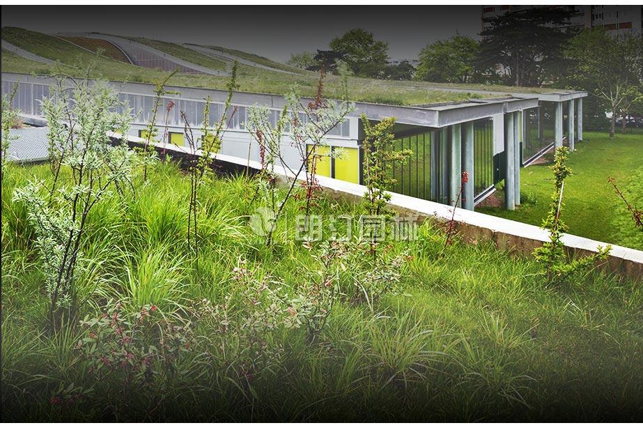 朗汀园林屋顶绿化案例