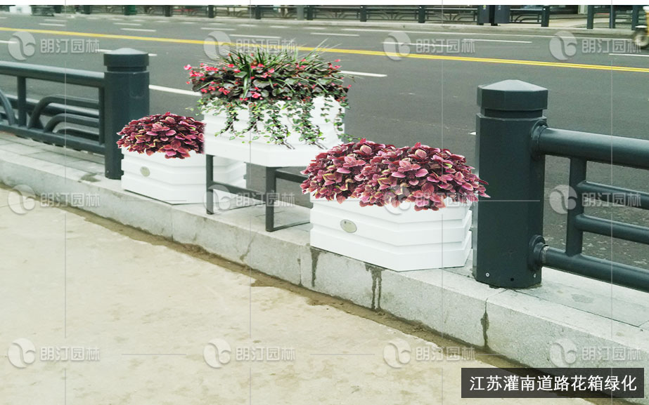 江苏花箱厂家