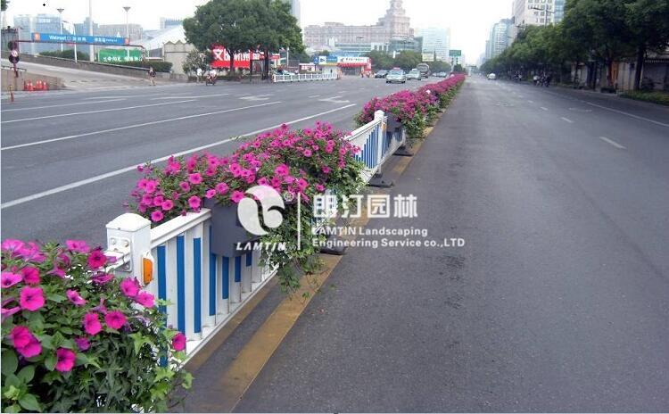 道路隔离护栏绿化案例