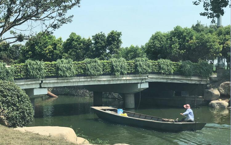 浙江桥梁防护栏立体绿化案例