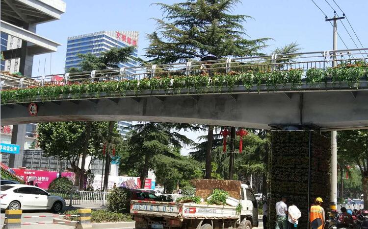 陕西渭南人行天桥护栏景观绿化