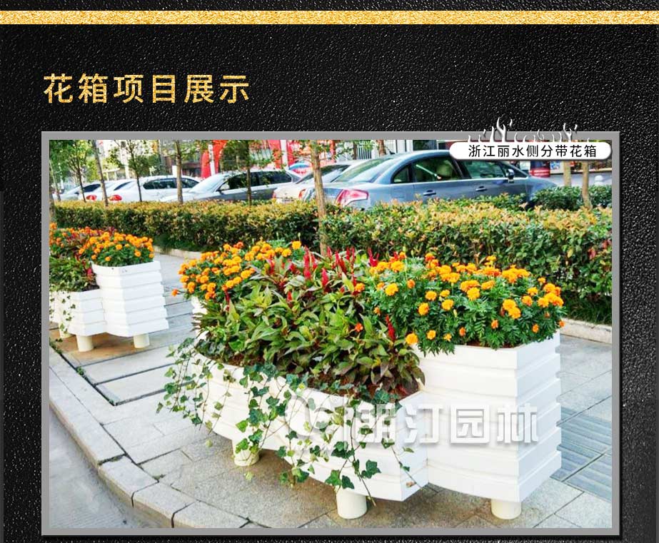 浙江丽水侧分带绿化项目