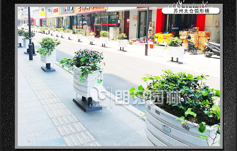 苏州太仓侧分带绿化项目