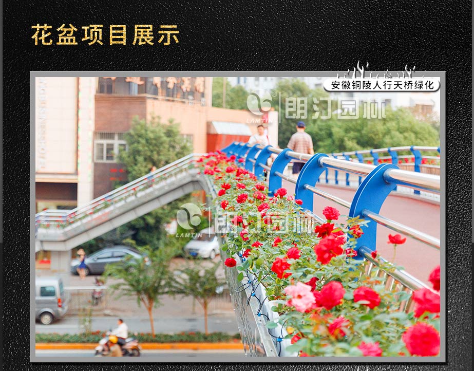 杜晓雅_06.jpg
