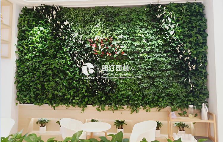 室内垂直绿化景观植物墙
