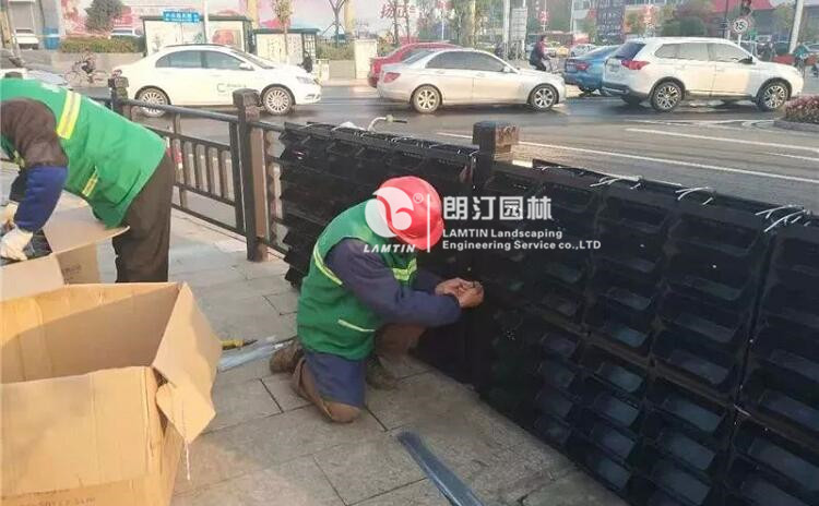 植物墙花盆5012现场安装图