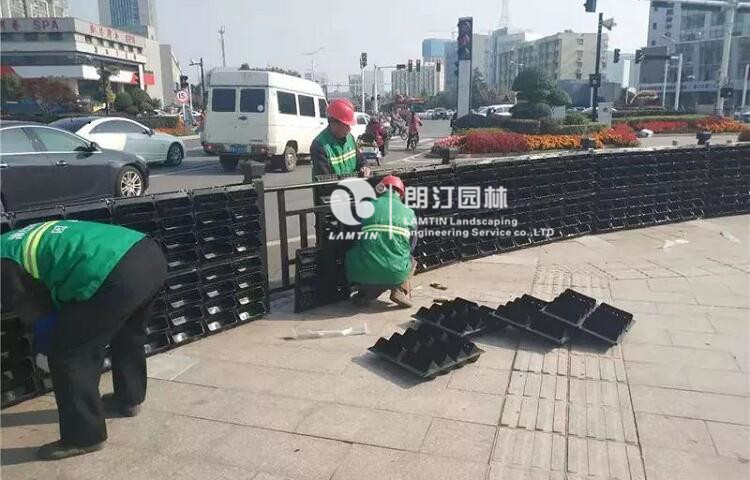 垂直绿化植物墙花盆安装