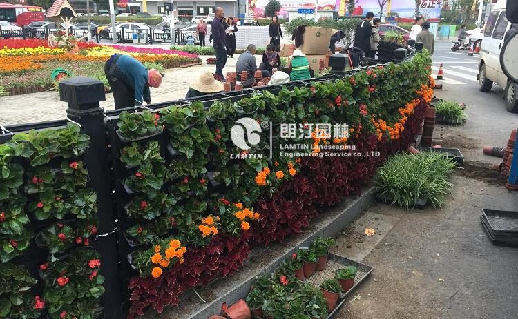 植物墙效果呈现
