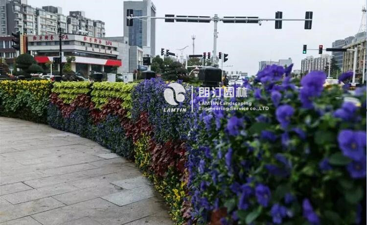 垂直绿化植物墙绿化景观
