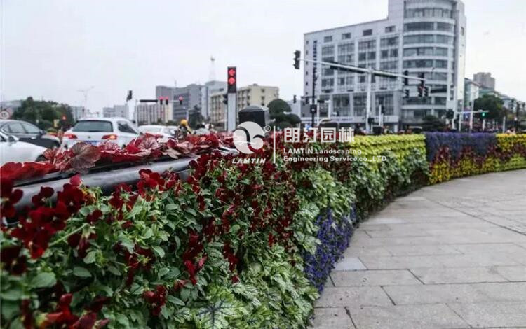 垂直绿化植物墙景观效果
