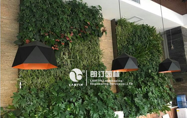 垂直绿化植物墙景观效果