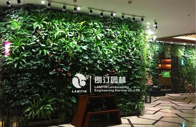 深圳室内墙体绿化案例,垂直绿化花盆使用案例