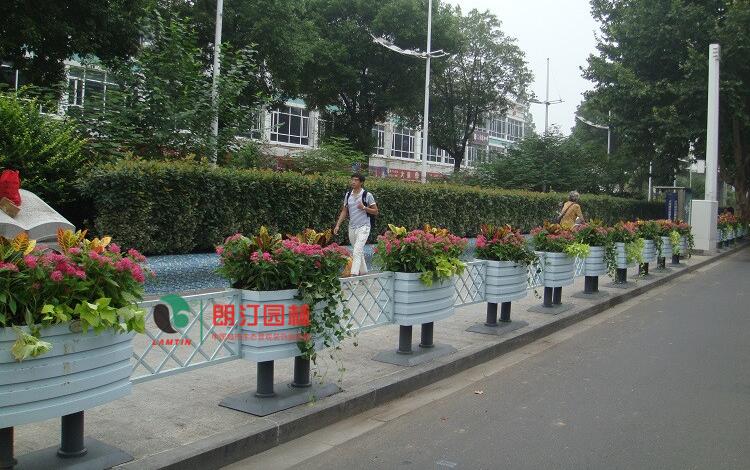 南京道路绿化PVC花箱图片