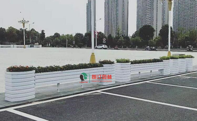 江西上饶政府广场绿化景观工程-