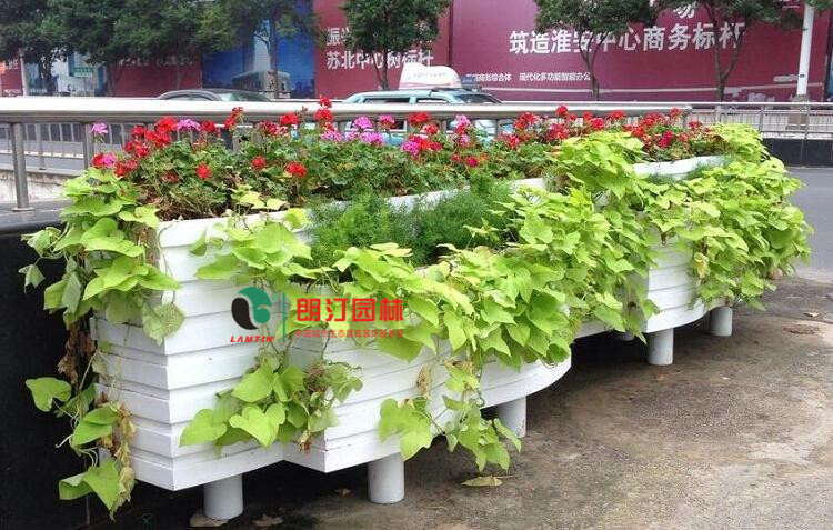 江苏淮安道路绿化花箱工程 江苏淮安道路绿化花箱工程