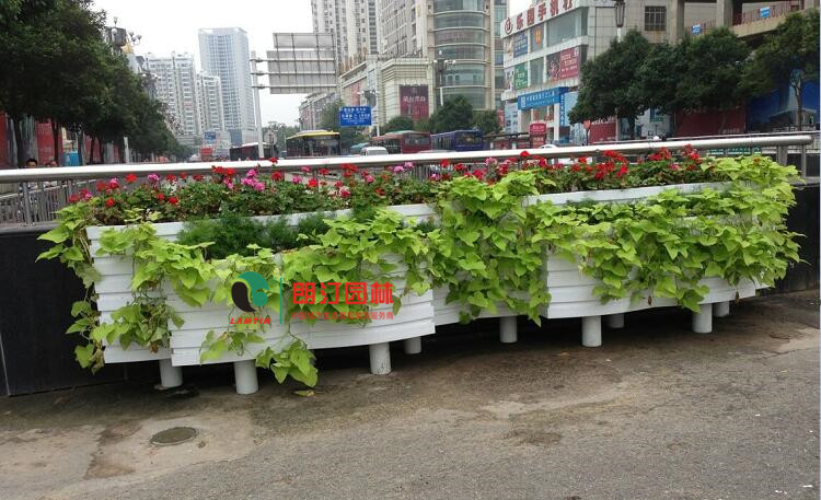 朗汀园林PVC多槽花箱使用案例 朗汀园林PVC多槽花箱使用案例