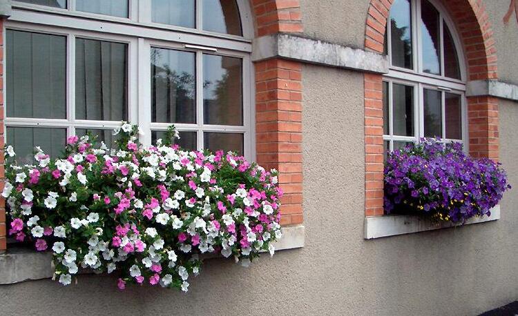 别墅窗台绿化花盆