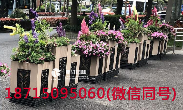 上海人民广场绿化花箱图片