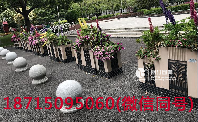 市政府门口广场景观绿化花箱